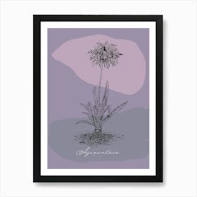 Agapanthus 002 Art Print