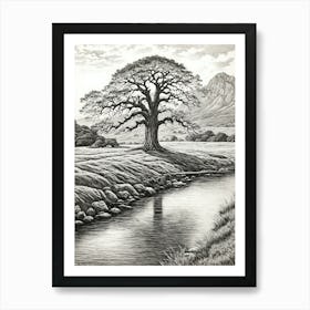 highly detailed pencil sketch of oak tree next to stream, mountain background 9 Art Print