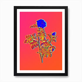 Neon Pink Rosebush Botanical in Hot Pink and Electric Blue n.0342 Art Print