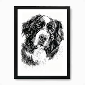 Bernese Mountain Dog Line Sketch 3 Art Print