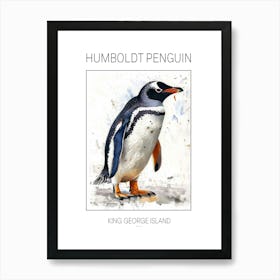 Humboldt Penguin King George Island Watercolour Painting 1 Poster Art Print