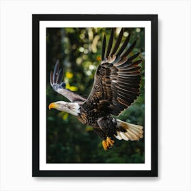 Bald Eagle In Flight Art Print