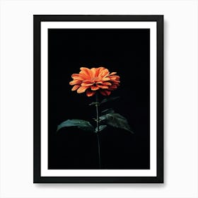 Orange Flower 24 Art Print