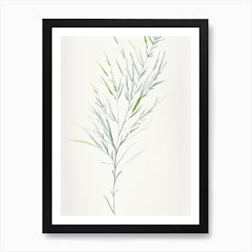 White Willow Herb Minimalist Watercolour 1 Art Print