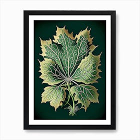 Siberian Ginseng Leaf Vintage Botanical 3 Art Print