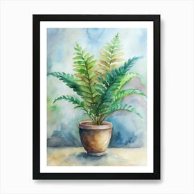 Fern In A Pot 2 Art Print