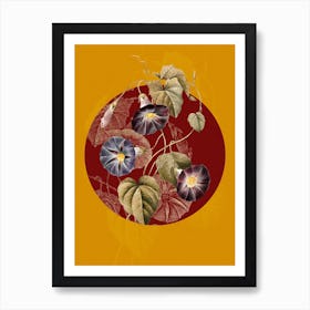 Vintage Botanical Morning Glory Spomaea Quamodit on Circle Red on Yellow n.0037 Art Print