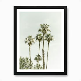 Palm Trees Summertime Art Print