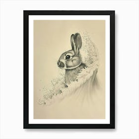Mini Satin Rabbit Drawing 3 Art Print