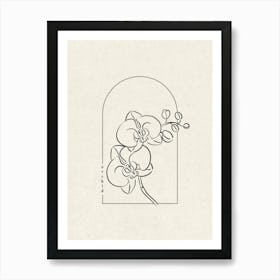 Orchid Flower Art Print