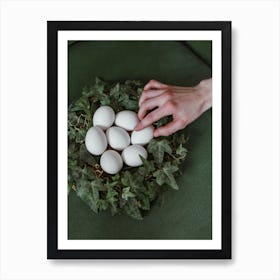 Eggs In The Nest Art Print