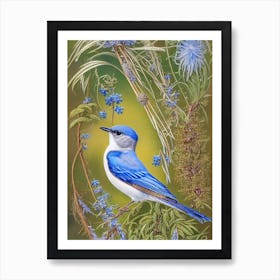 Bluebird Haeckel Style Vintage Illustration Bird Art Print