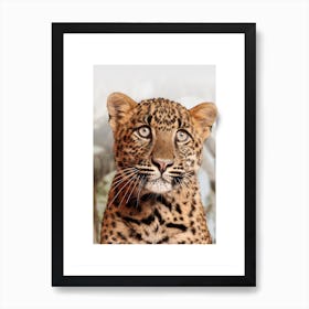 Leopard Cub Art Print