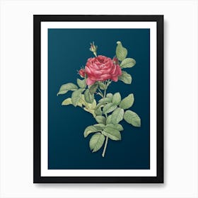 Vintage Red Gallic Rose Botanical Art on Teal Blue Art Print