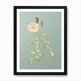 Vintage Sparkling Rose Botanical Art on Mint Green n.0142 Art Print