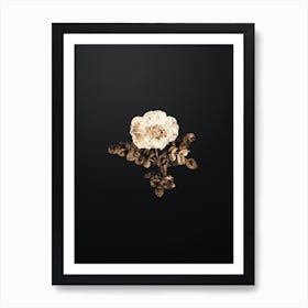 Gold Botanical White Burnet Rose on Wrought Iron Black n.3394 Art Print