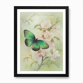 Butterfly On Cherry Blossoms 1 Art Print