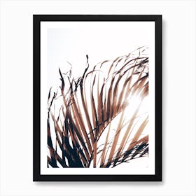 Dried Palm Leaf Art Print