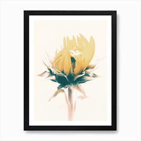 Closed Sunflower Petals Art Print