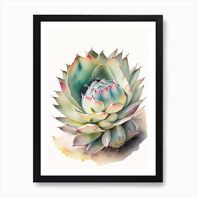 Lophophora Williamsii Storybook Watercolours Art Print