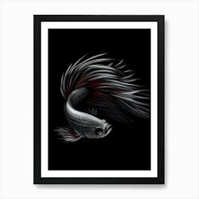 Siamese Fighting Fish Art Print