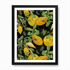 Maria Sibylla Merian Lemons And Insects Art Print