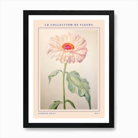 Gerbera Daisy French Flower Botanical Poster Art Print