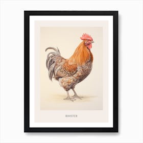 Vintage Bird Drawing Rooster 2 Poster Art Print