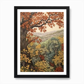 European Black Alder 4 Vintage Autumn Tree Print  Art Print