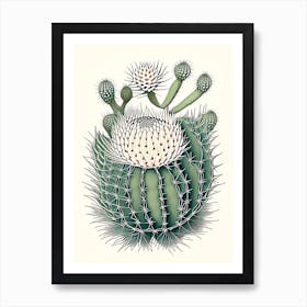 Melocactus Cactus William Morris Inspired 2 Art Print