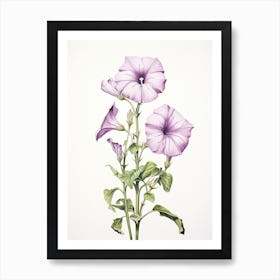 Petunias Flower Vintage Botanical 1 Art Print