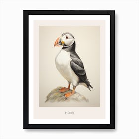 Vintage Bird Drawing Pigeon 4 Poster Art Print