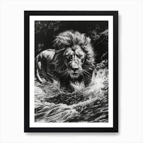 Barbary Lion Charcoal Drawing Crossing A River 2 Art Print