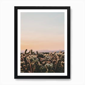 Cactus Sunset View Art Print