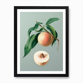 Vintage Peach Botanical Art on Mint Green n.0177 Art Print