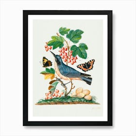 Bird Perched On Berries Art Print