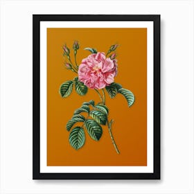 Vintage Pink Wild Rose Botanical on Sunset Orange n.0604 Art Print