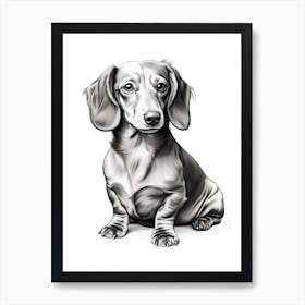 Dachshund Dog, Line Drawing 4 Art Print