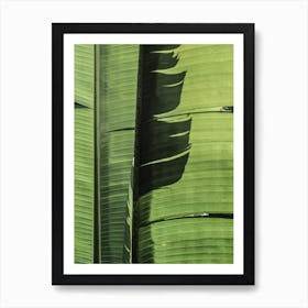 Tropical Dance Art Print