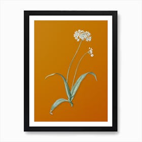 Vintage Spring Garlic Botanical on Sunset Orange n.0958 Art Print