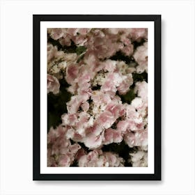 Pink Flowers Oil Painting Art Print