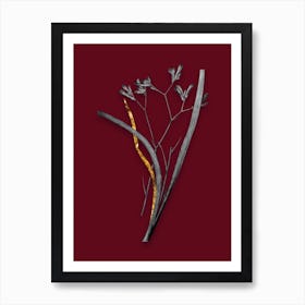 Vintage Anigozanthos Flavida Black and White Gold Leaf Floral Art on Burgundy Red n.0078 Art Print