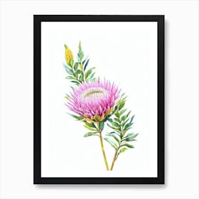Proteas Watercolour Flower Art Print