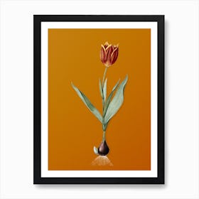 Vintage Tulip Botanical on Sunset Orange n.0662 Art Print