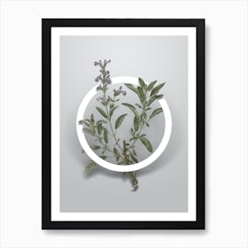 Vintage Garden Sage Minimalist Botanical Geometric Circle on Soft Gray n.0072 Art Print