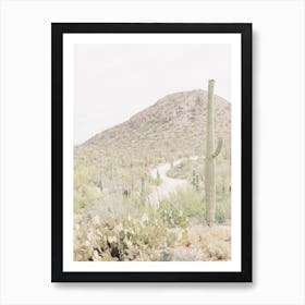 Cactus Scenery Art Print