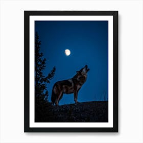 Howling Wolf 10 Art Print