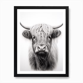 Black & White Illustration Of Highland Cow Portrait Art Print