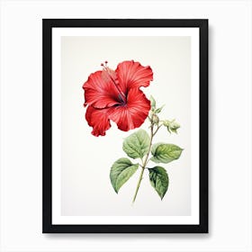 Hibiscus Flower Vintage Botanical 1 Art Print