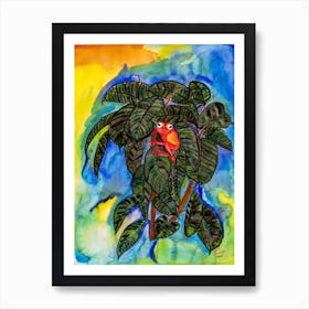 Tree Frog Art Print